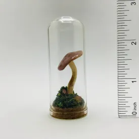 Mushroom Curiosity Jar Real Fungi Curio 2.75" # 3390