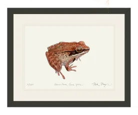 NEW Wood Frog Print