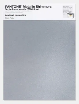 Pantone Metallic Shimmers Textile Paper Metallic (TPM) Sheet 20-0009 Steel Plate